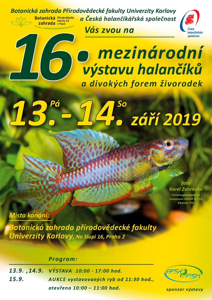 PLAKAT_VYSTAVA_2019_CZ (1).jpg